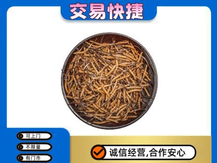 保山礼品回收虫草.jpg